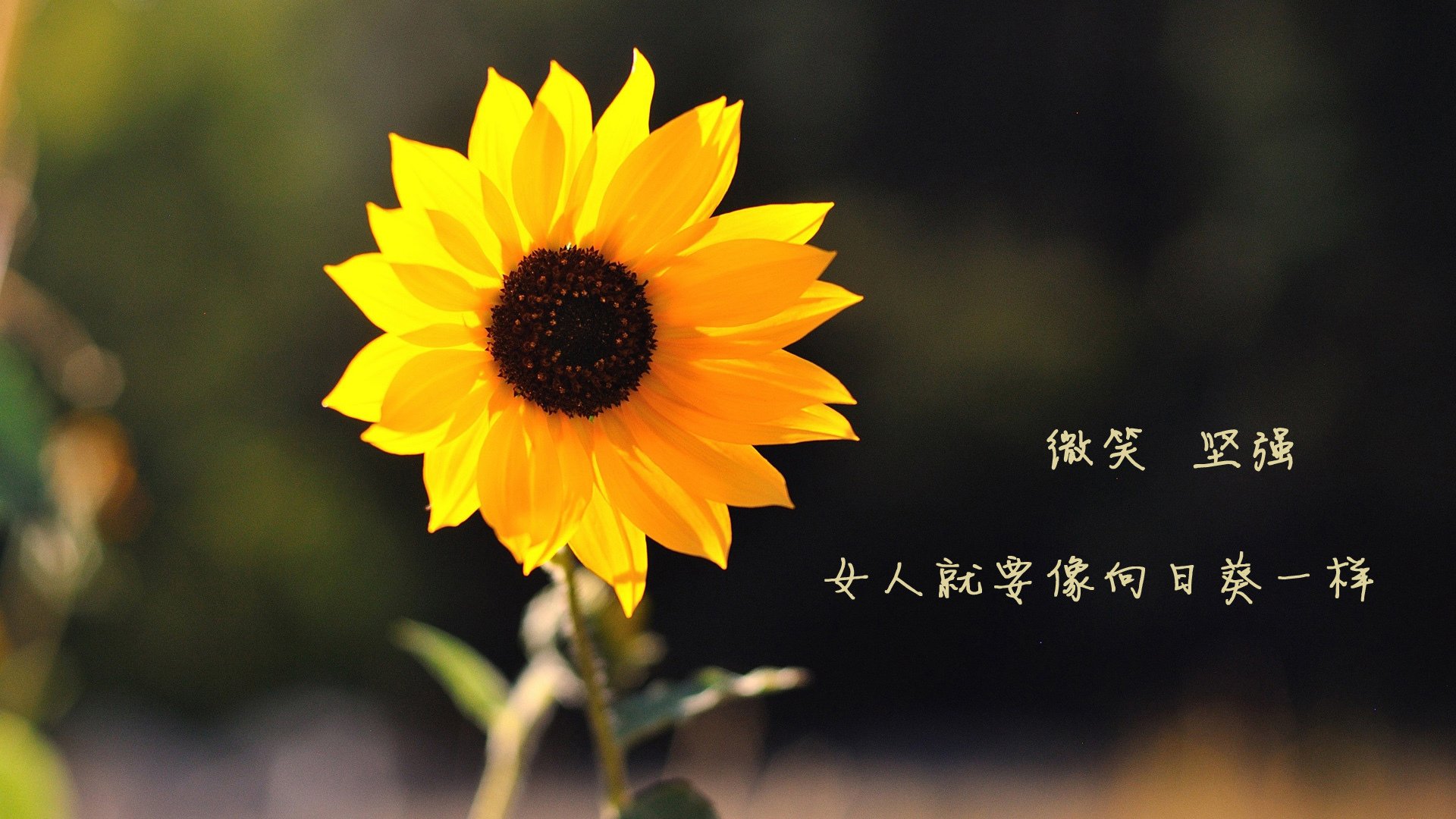 中超比赛精彩瞬间及幕后故事一览，中超经典回忆