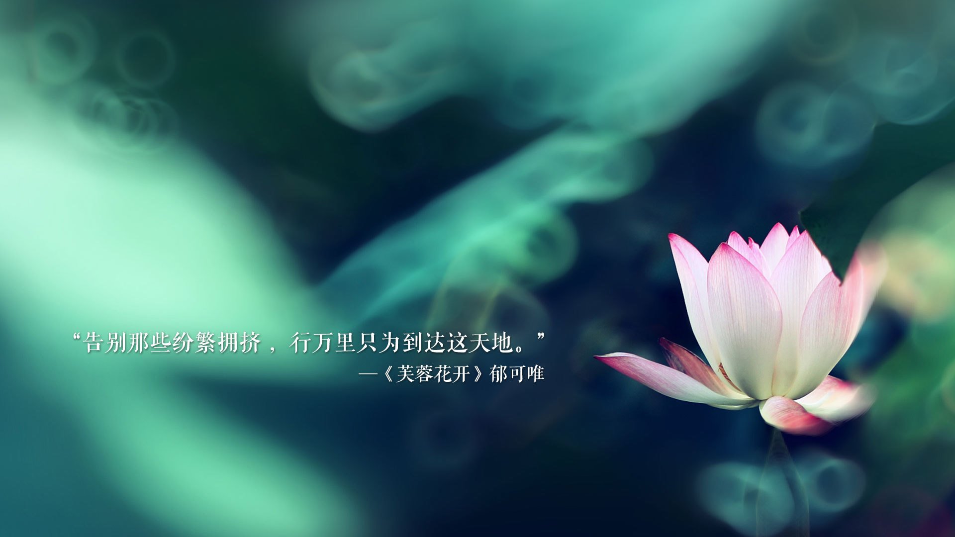 羽毛球世界杯赛中国队表现稳定，晋级决赛圈，中国羽毛球世界杯冠军