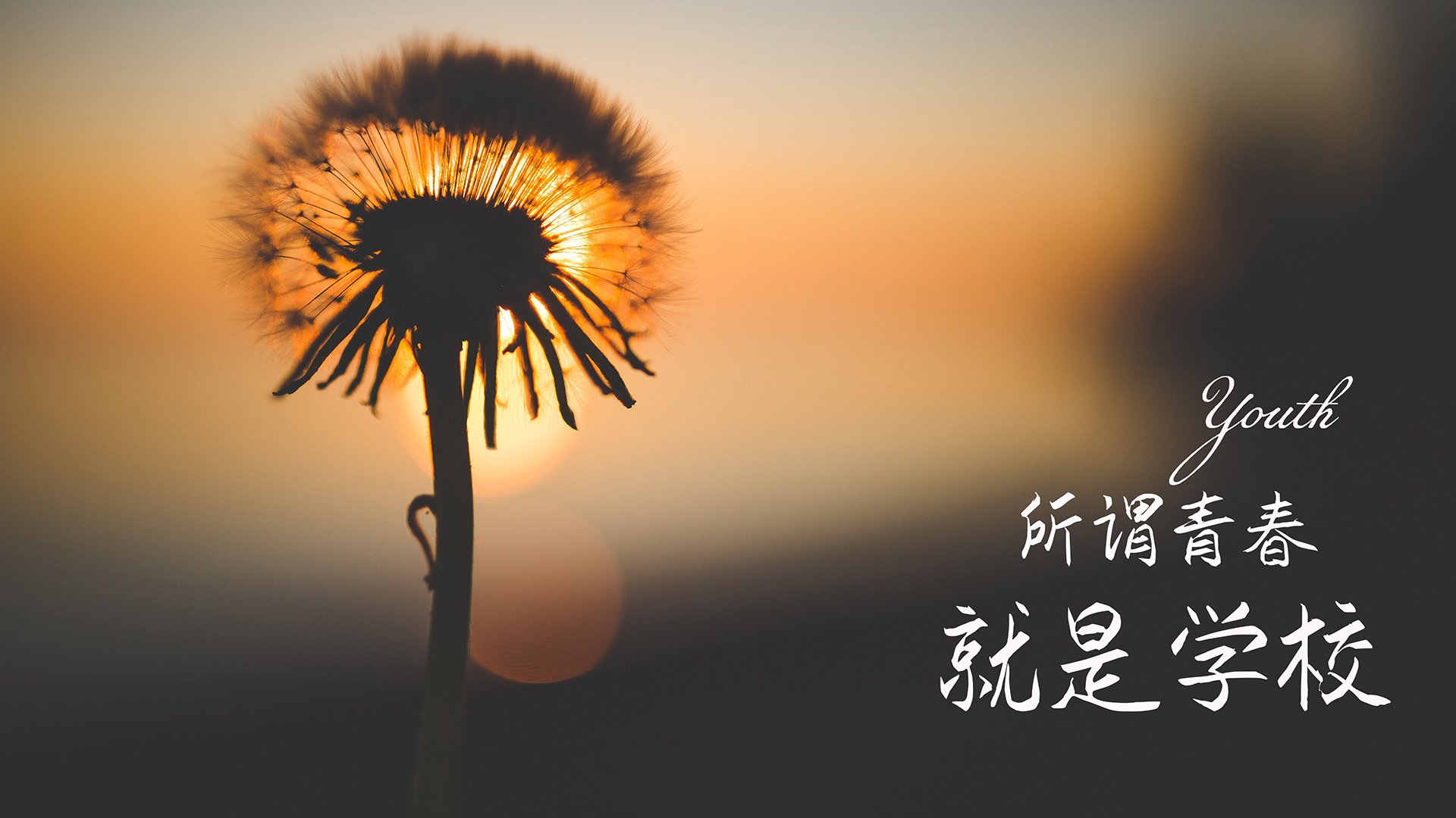 世俱杯入口-北马其顿队绝杀阿尔巴尼亚，小组出线前景看好，北马其顿 阿拉巴