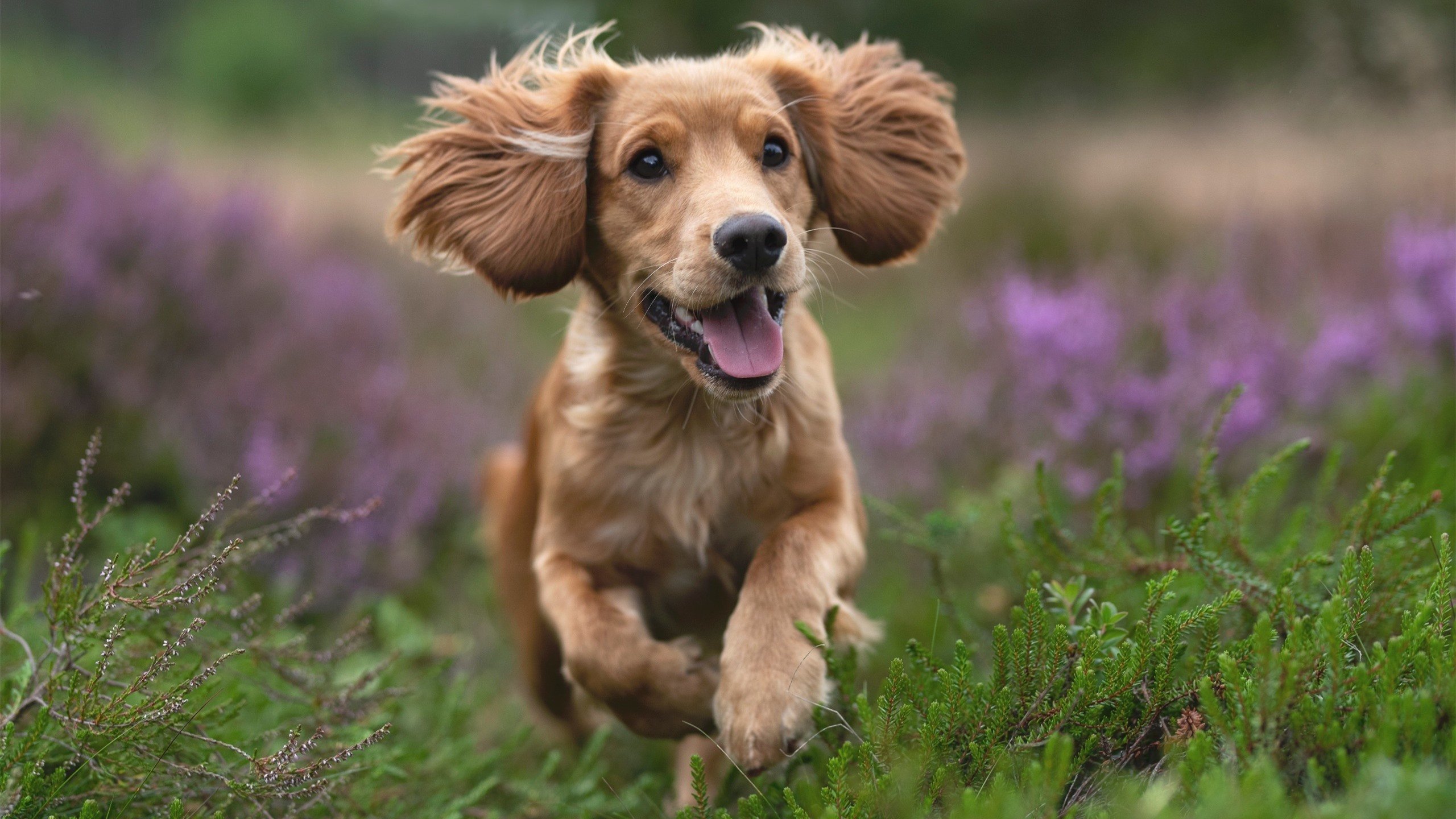 世界青少年水上漂流锦标赛激烈比拼,勇气与速度的较量,青少年水上竞技