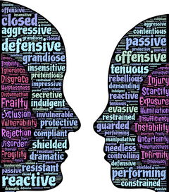 世俱杯2025全程直播-中超球队防守转进攻线路可视化图，中超球员转会规则