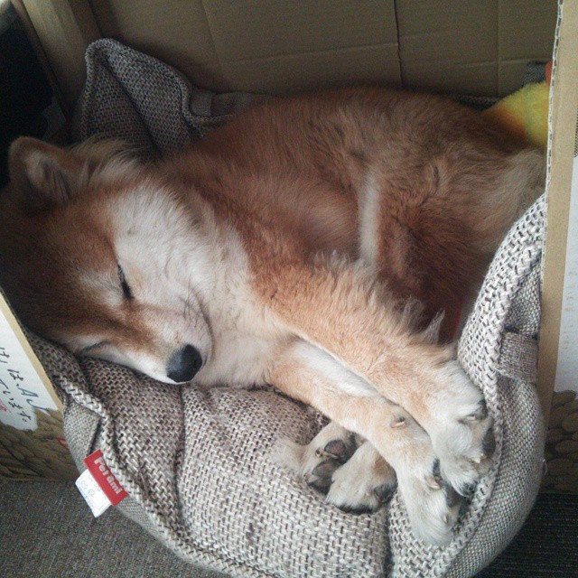 篮球赛事数字化转型与观众体验提升，篮球大数据预测