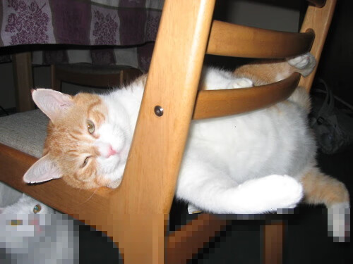 赛季收官战：提前锁定冠军的球队表现如何？，为什么说提前锁定冠亚军