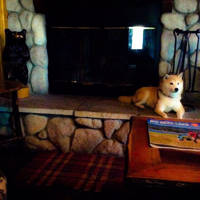 意甲流星闪耀:一瞬间点亮赛场全场,意甲联赛球星