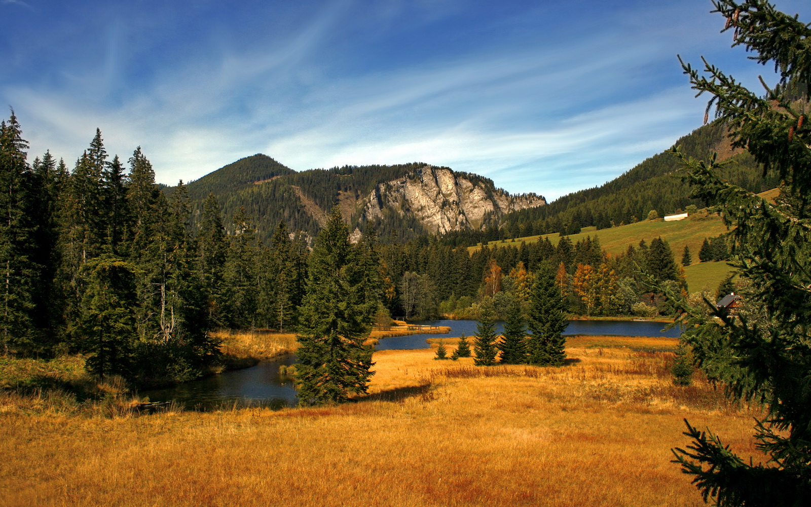 英国蝶泳老将普劳德再显锋芒,普劳德游泳