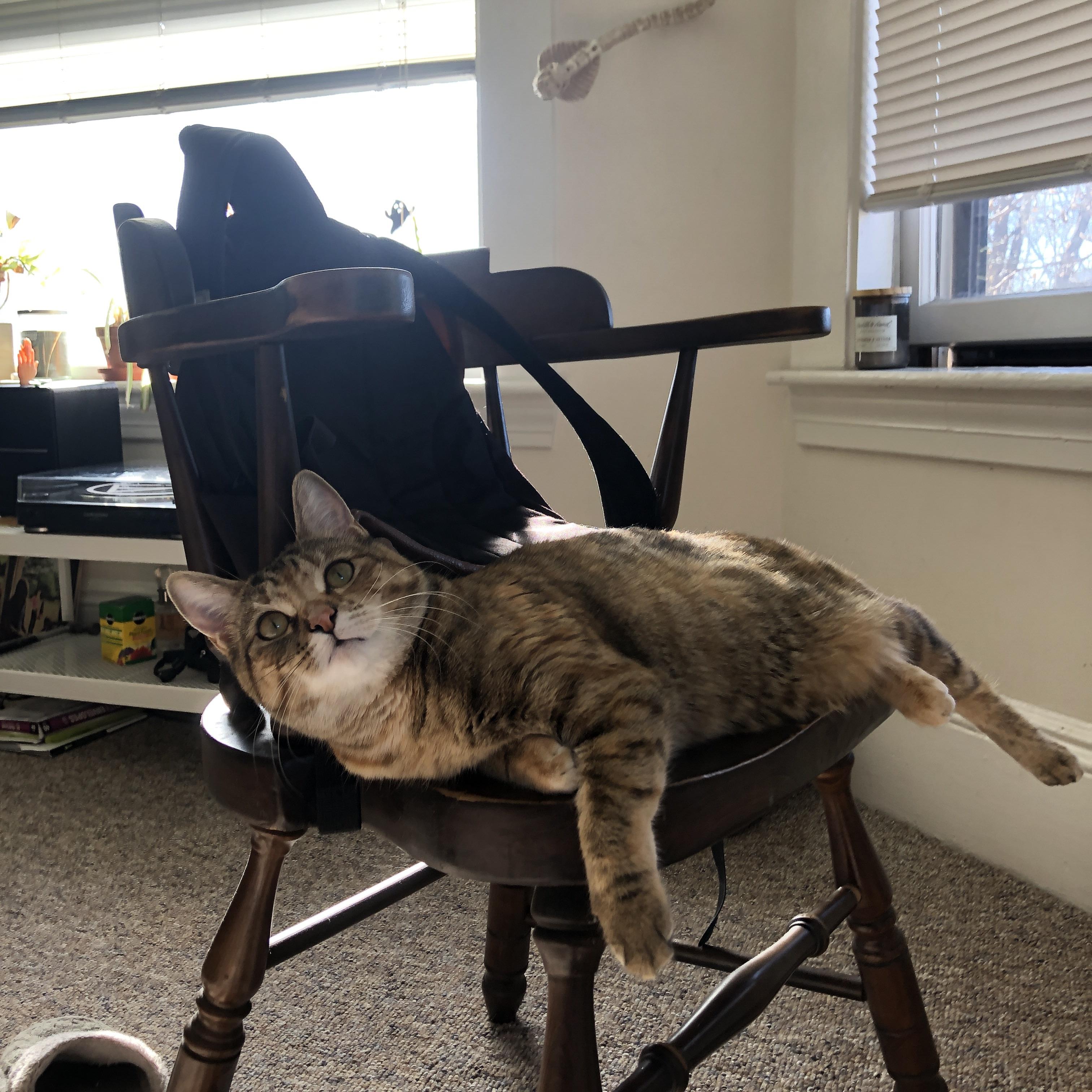 赞比亚男篮在非洲预赛中奋勇奋发,迈向新高峰,赞比亚进球