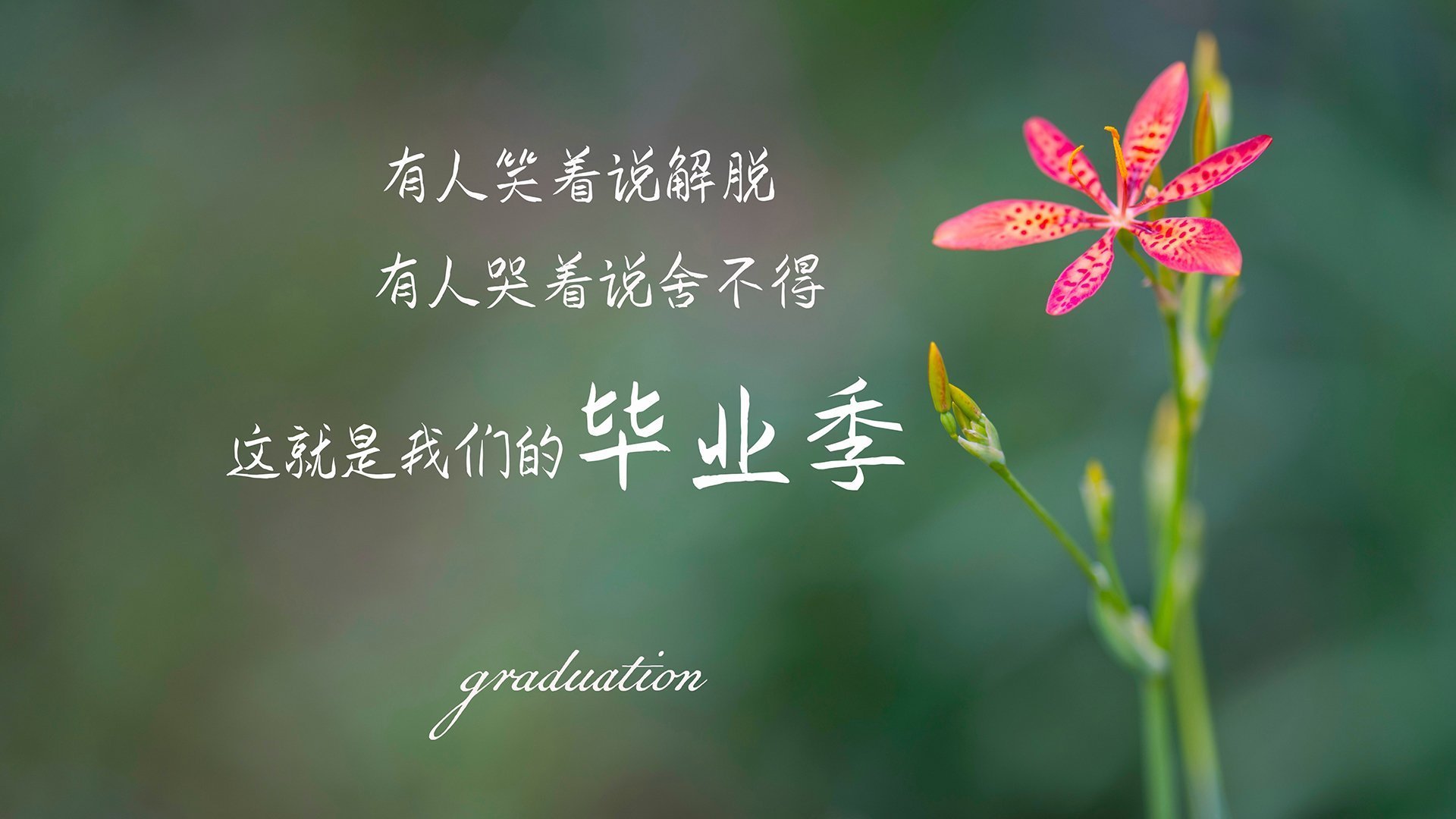 青训体系引入阶段目标设置机制按年龄推进核心训练内容,青训训练时间